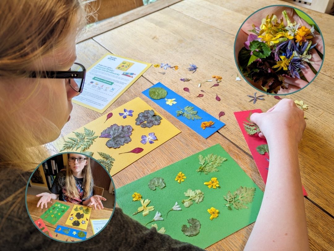 making pressed flowers