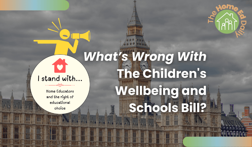 What's wrong with the Children’s Wellbeing and Schools Bill? An overview of the key issues.