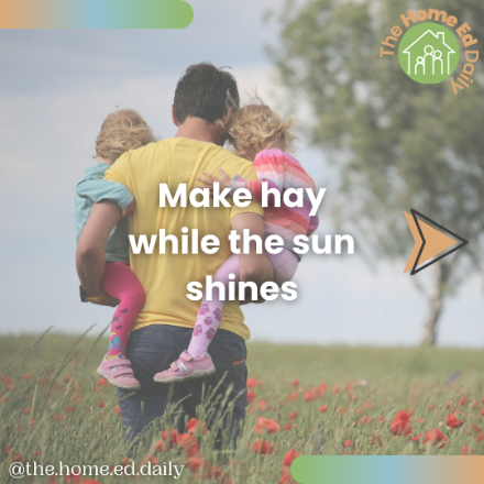 Make hay while the sun shines. Seize the day.